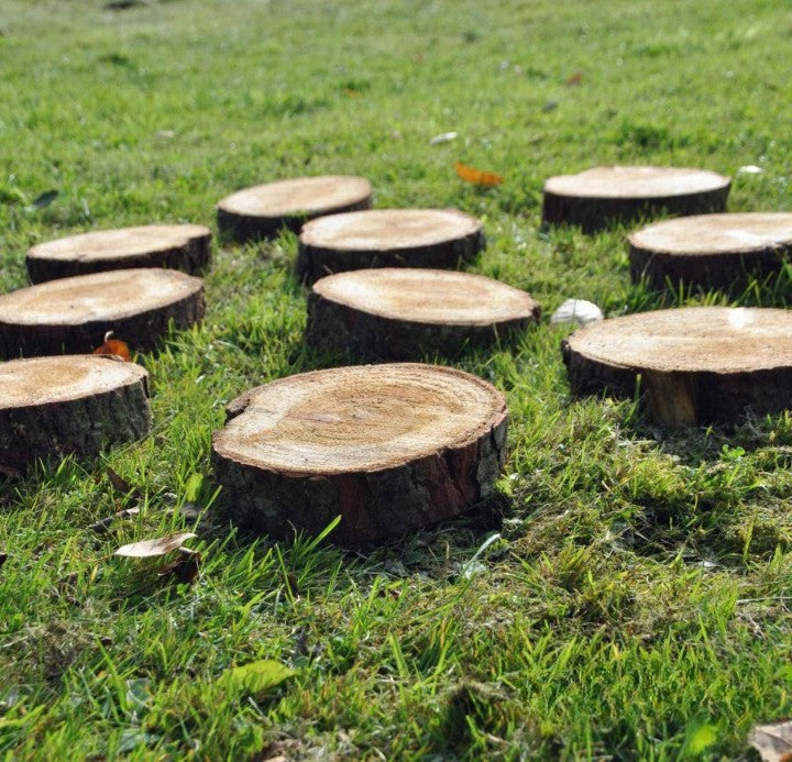 Natural Stepping Stones - Pack of 10